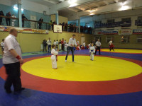 «Золото джиу-джитсу»