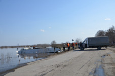 Операция по спасению из водного плена обитателей страусиной фермы прошла в г.Ирбите