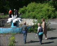 Вновь вспомнили о парке