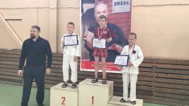 Ирбитские каратисты заняли призовые места на Первенстве Артемовского ГО по всестилевому каратэ