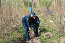 «Лес Победы»
