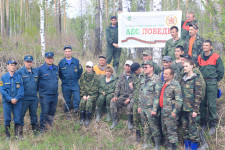 «Лес Победы»