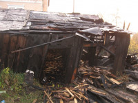 Детская шалость!