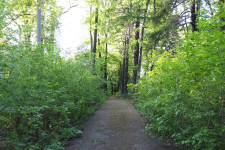 Ждем добровольцев для приборки территории старого городского парка