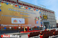 «Инэкспо» судится из-за ипотеки с заводом и двумя банками