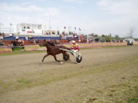 Ипподромный круг истории