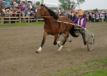 В Ирбите энтузиасты спасают единственный в округе ипподром