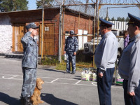 Борец с наркотиками – Ник из Ирбита