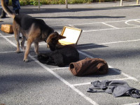 Борец с наркотиками – Ник из Ирбита