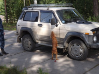 Борец с наркотиками – Ник из Ирбита