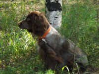 Борец с наркотиками – Ник из Ирбита