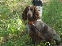 Борец с наркотиками – Ник из Ирбита