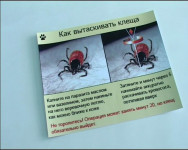 Поставьте прививку