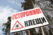 Будьте осторожны: клещи покусали уже более 5 тысяч свердловчан