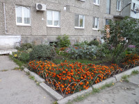 Внимание, конкурс «Красивый город»!