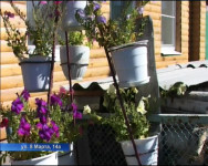 Красивый город