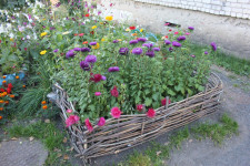 Конкурс на лучшую придомовую территорию