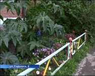 Конкурс «Красивый город» заканчивается