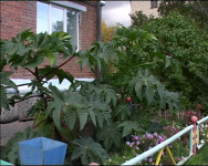 Конкурс «Красивый город» заканчивается