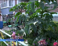 Конкурс «Красивый город» заканчивается