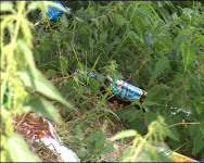 Актуально. Где купаться?