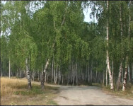 Звоните 112 или 01