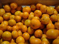 Оранжевый солнечный фрукт к Новому году