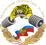 Ирбитчане стали призерами мультитурнира «Золотой Тигр — X»