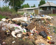 Санитарное состояние населенных мест в г.Ирбите и Ирбитском районе