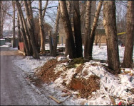 Актуально. Уборка мусора