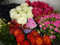 На защите Свердловской области