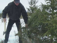 Операция «Ель»