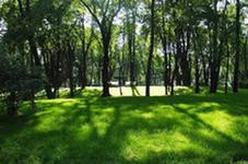 "Старый парк" благоустроят