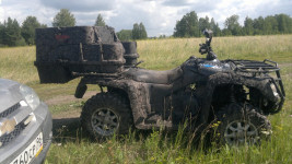 В Ирбите полицейские организовали поиски пропавшего грибника