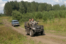 В Ирбите полицейские организовали поиски пропавшего грибника