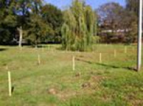 «Посади дерево – спаси планету»