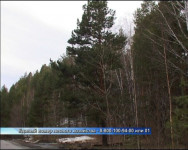 Противопожарный режим