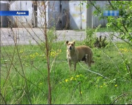 Официально. Противоэпидемическая комиссия