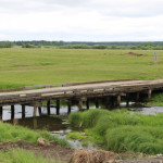 В селе Скородумское начался ремонт моста