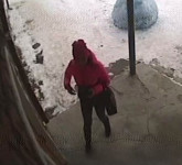 Сотрудники полиции Ирбита разыскивают женщину, подозреваемую в совершении кражи