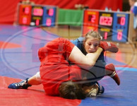 Наши самбистки в призёрах