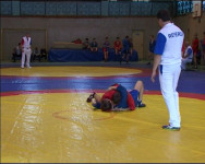 Ирбитские самбисты и дзюдоисты в призёрах