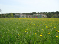 Работа санатория «Уралочка» в Ирбитском районе приостановлена на 90 суток