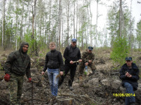 Ирбитские пожарные приняли участие в высадке леса