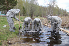 Спасали, тушили, выживали и победили