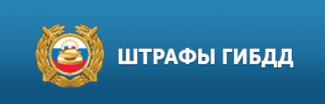 Областная профилактическая операция «Должник»