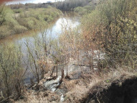 Экологическая катастрофа в Ирбите