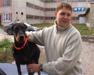 Выставка собак