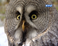 Уникальный эксперимент