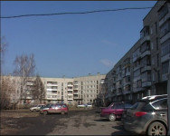 Срубили деревья…